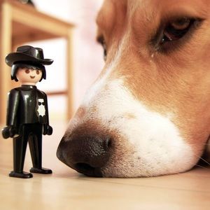 Meet your Posher, Ryan